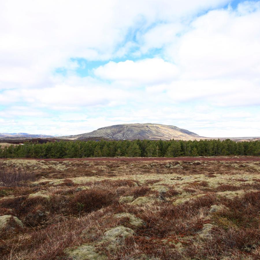 Kerbyggd: Luxury House And Cottage In Golden Circle Selfoss Extérieur photo
